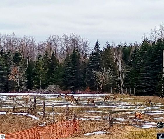 3665 Mill Station Road, Hale, MI 48739