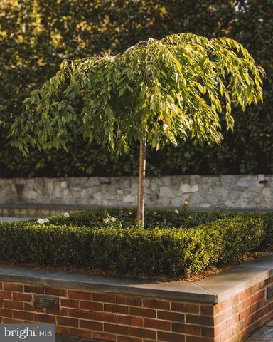 3117 O ST NW, Washington, DC 20007