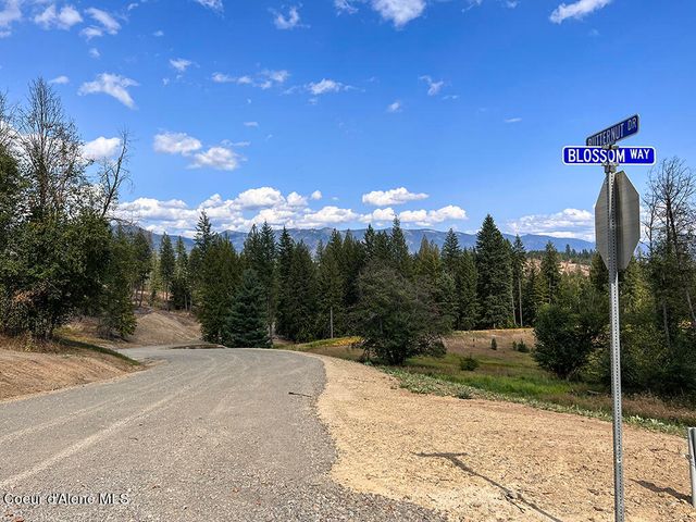 Est Lot 3 Camp Bay Estates, Sagle, ID 83860