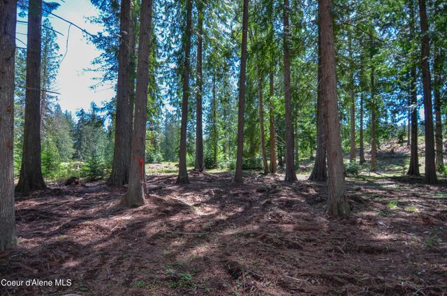 Est Lot 3 Camp Bay Estates, Sagle, ID 83860