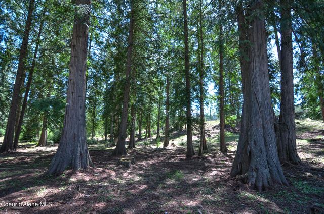 Est Lot 3 Camp Bay Estates, Sagle, ID 83860