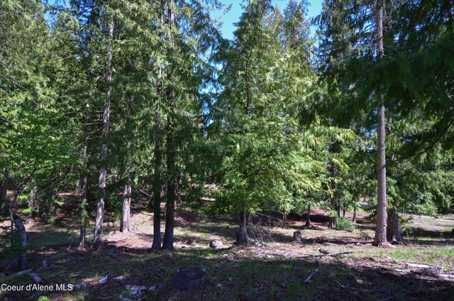 Est Lot 3 Camp Bay Estates, Sagle, ID 83860