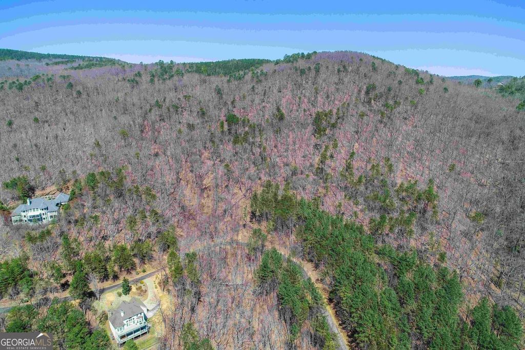 456 Yates Circle, Clarkesville, GA 30523 — photo 2