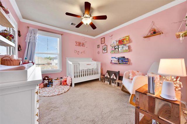 11438 Baldwin Spruce Trail, Tomball, TX 77375