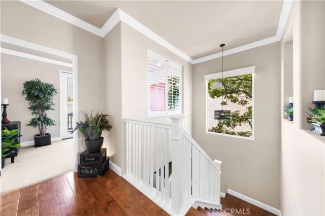 66 Montrose, Irvine, CA 92620