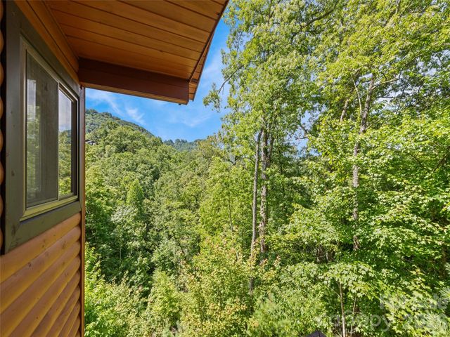299 Blue Ridge Parkway, Bryson City, NC 28713