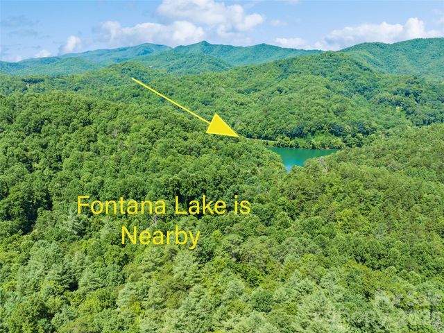 299 Blue Ridge Parkway, Bryson City, NC 28713