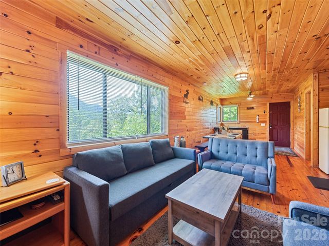 299 Blue Ridge Parkway, Bryson City, NC 28713