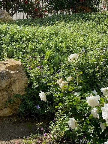 3200 La Rotonda 613, Rancho Palos Verdes, CA 90275