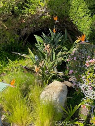 3200 La Rotonda 613, Rancho Palos Verdes, CA 90275