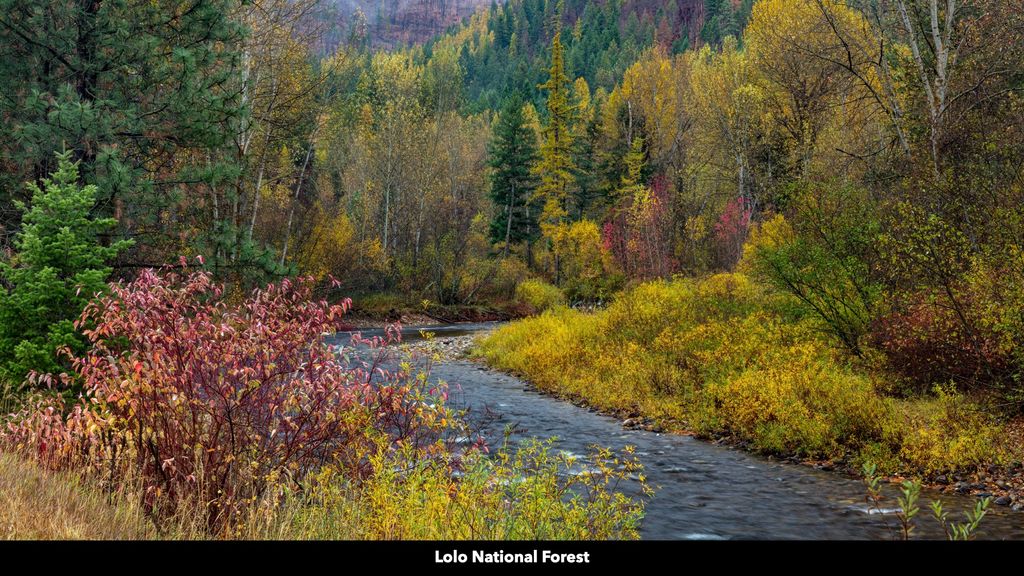 TBD Cold Creek Road, St Regis, MT 59866 photo 14