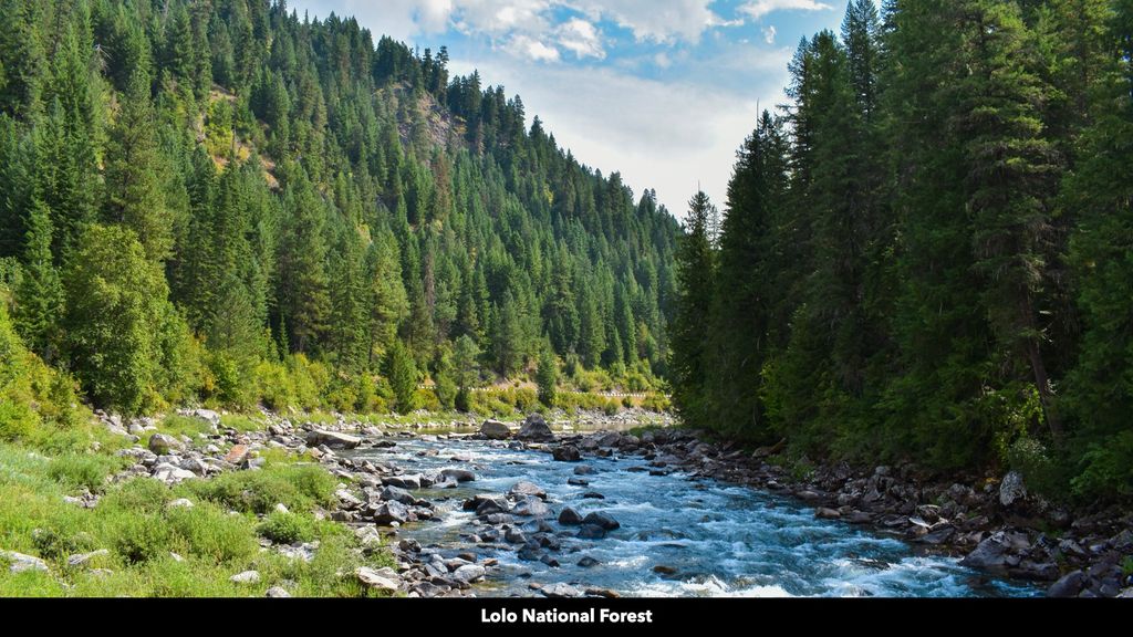 TBD Cold Creek Road, St Regis, MT 59866 photo 15
