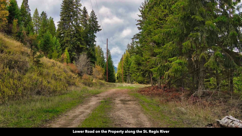 TBD Cold Creek Road, St Regis, MT 59866 photo 17