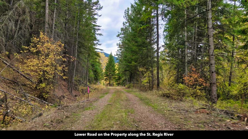 TBD Cold Creek Road, St Regis, MT 59866 photo 19