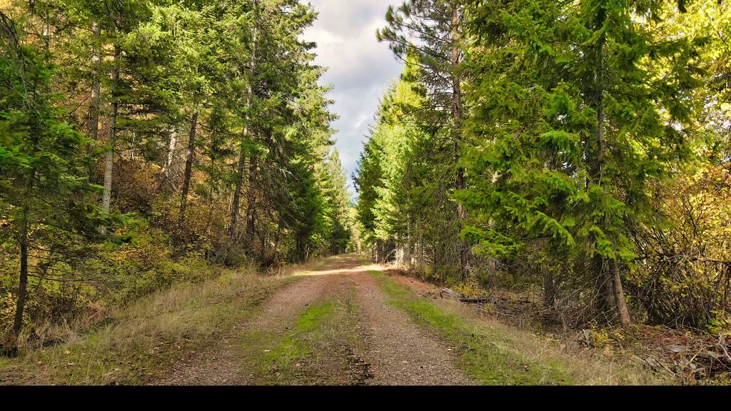 TBD Cold Creek Road, St Regis, MT 59866 photo 20