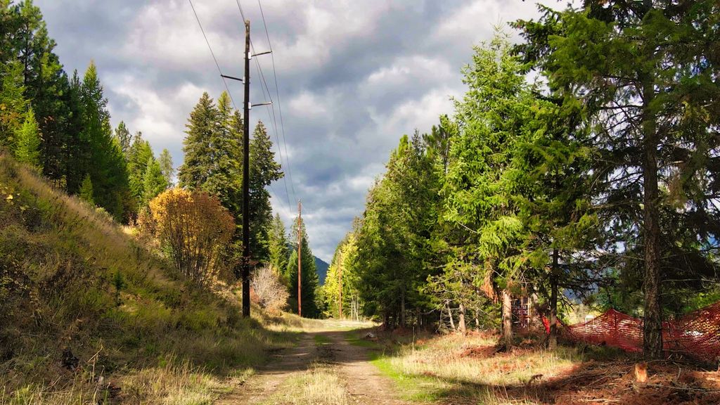 TBD Cold Creek Road, St Regis, MT 59866 photo 3