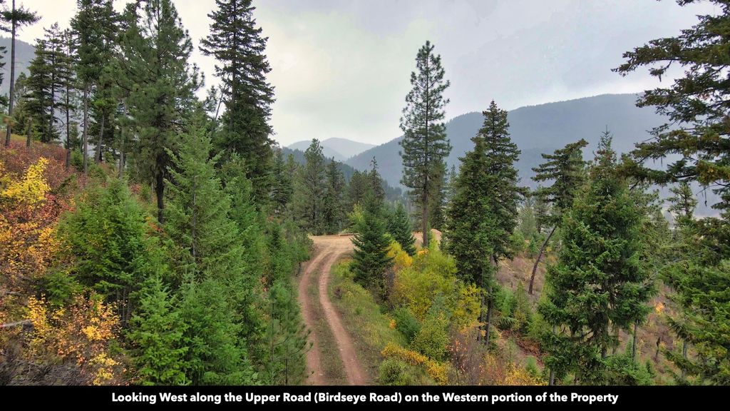 TBD Cold Creek Road, St Regis, MT 59866 photo 32