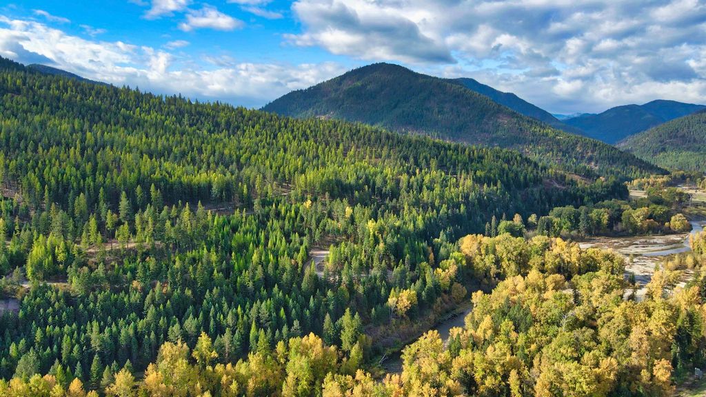 TBD Cold Creek Road, St Regis, MT 59866 photo 37