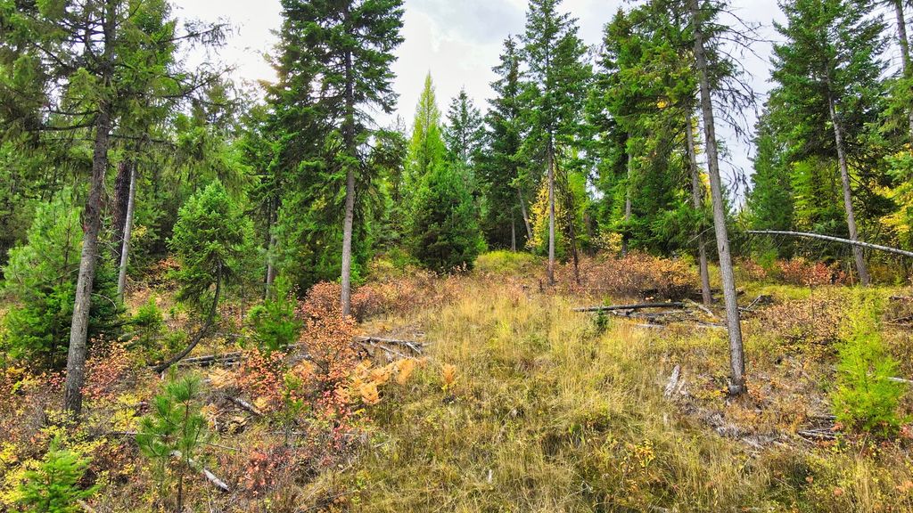 TBD Cold Creek Road, St Regis, MT 59866 photo 40