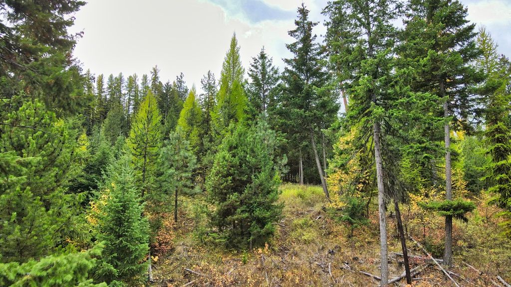 TBD Cold Creek Road, St Regis, MT 59866 photo 41