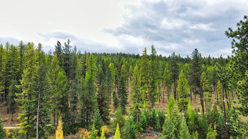 TBD Cold Creek Road, St Regis, MT 59866 photo 42