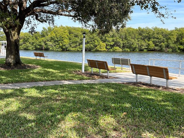 672 MOUNT PINEY AVENUE NE 699, St Petersburg, FL 33702