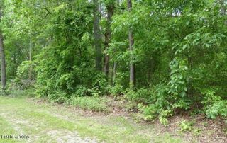 George Young Rd, Jamestown, TN 38556