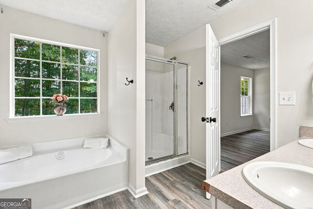 3590 Hamilton Creek Trail, Buford, GA 30519
