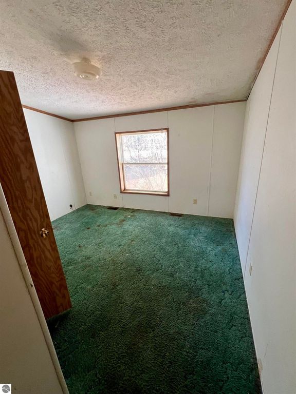 Interior view of a vacant bedroom with green carpet, a window providing natural light, and a wooden door, showcasing potential for updates in the real estate listing for 9374 Pine Circle Drive NW, Rapid City, MI.