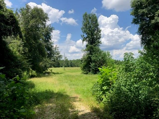 25094 Fm 1488 Road, Magnolia, TX 77355