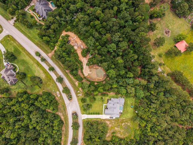 23506 High Meadow Estates Drive, Montgomery, TX 77316