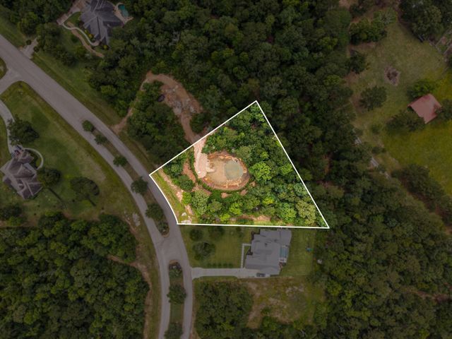 23506 High Meadow Estates Drive, Montgomery, TX 77316