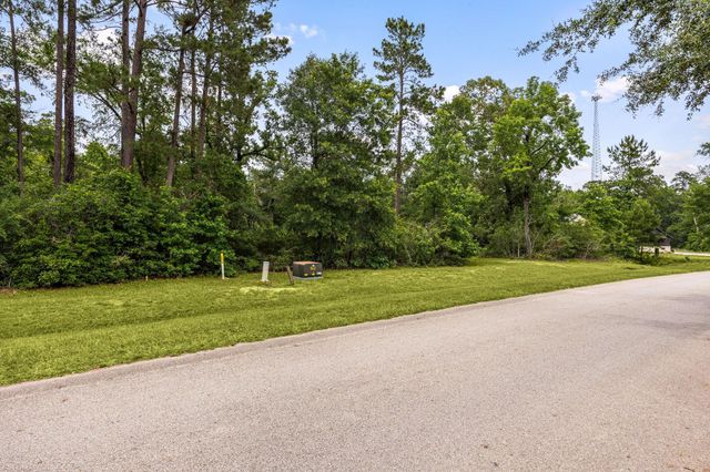 23506 High Meadow Estates Drive, Montgomery, TX 77316
