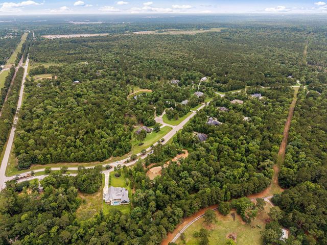 23506 High Meadow Estates Drive, Montgomery, TX 77316