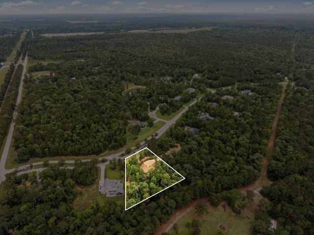 23506 High Meadow Estates Drive, Montgomery, TX 77316