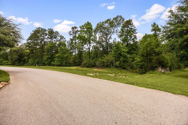 23506 High Meadow Estates Drive, Montgomery, TX 77316