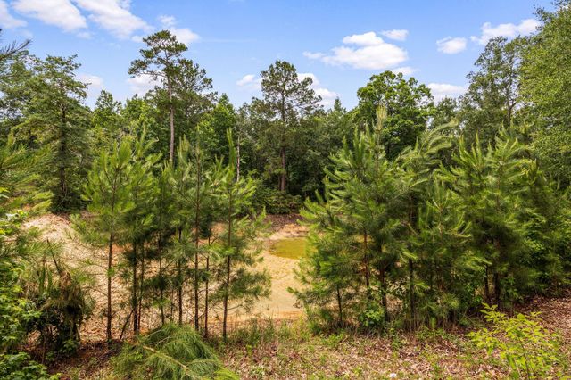 23506 High Meadow Estates Drive, Montgomery, TX 77316