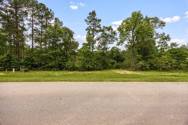 23506 High Meadow Estates Drive, Montgomery, TX 77316