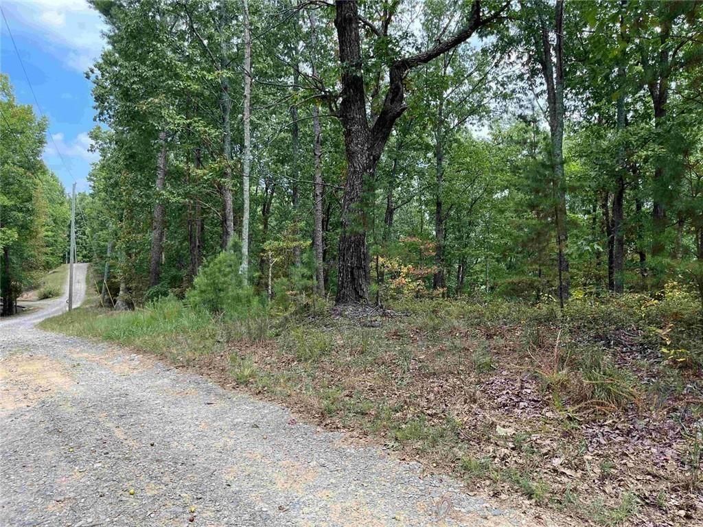 32 Antler Court, Ranger, GA 30734