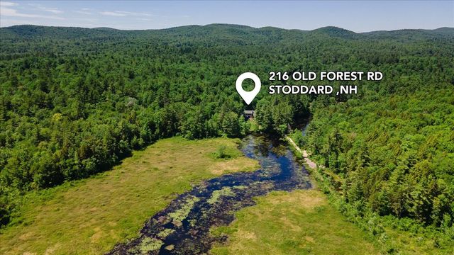 216 Old Forest Road, Stoddard, NH 03464