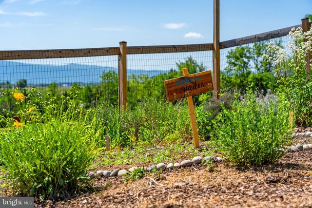 384 LINDAMOOD LN, Strasburg, VA 22641