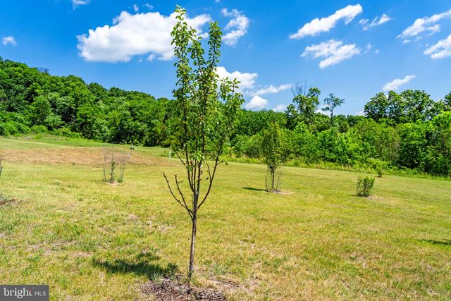 384 LINDAMOOD LN, Strasburg, VA 22641