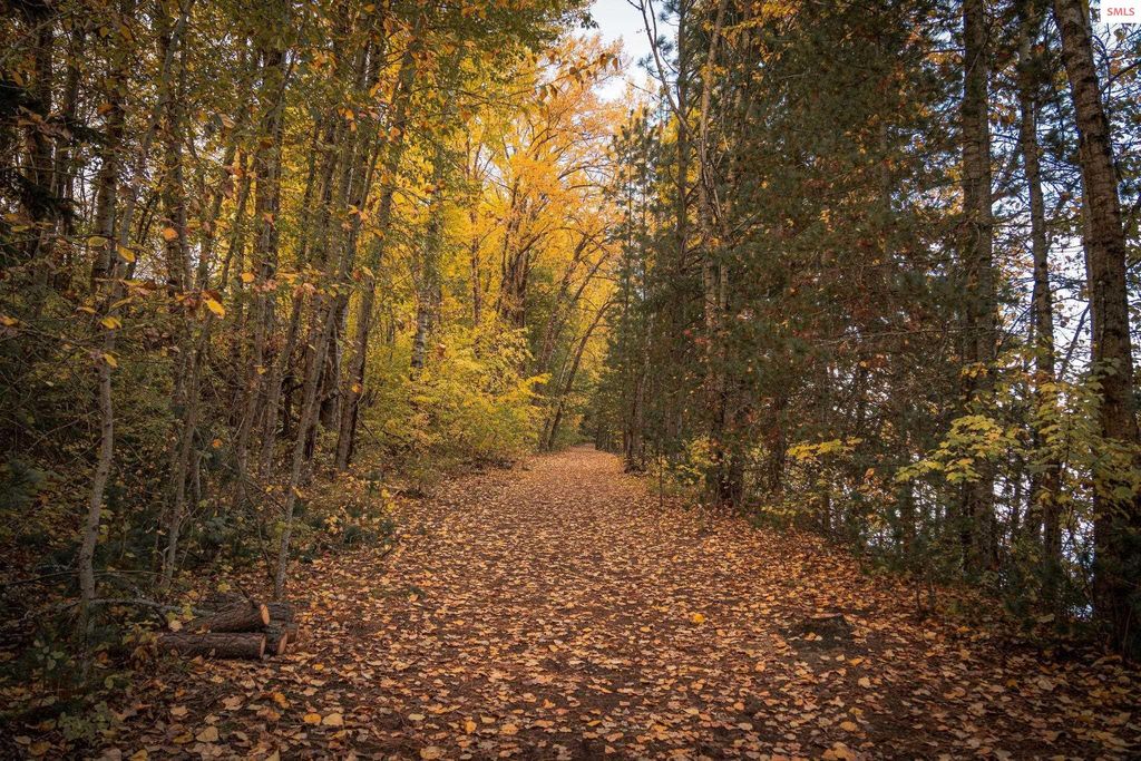 802 Sandpoint Ave #8305, Sandpoint, ID 83864 photo 54