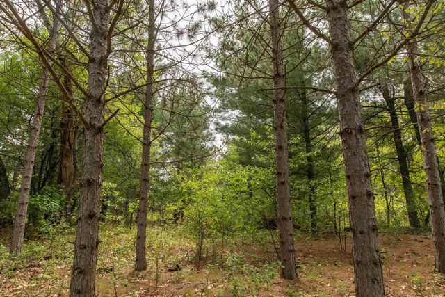 W7856 Dixie Court, Westfield, WI 53964