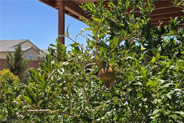 3543 East Malheur Avenue, Pahrump, NV 89061