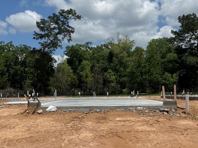 20867 Wildbird Cherry Lane, Porter, TX 77365