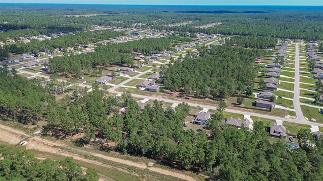 9689 Waller Street, Conroe, TX 77303
