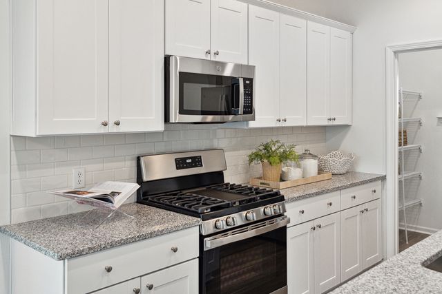 1021 Patagonia Street, Summerville, SC 29485