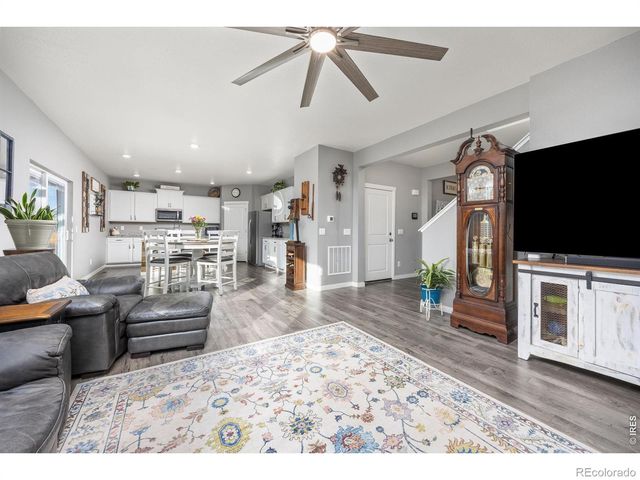 3725 Catmint Street, Wellington, CO 80549