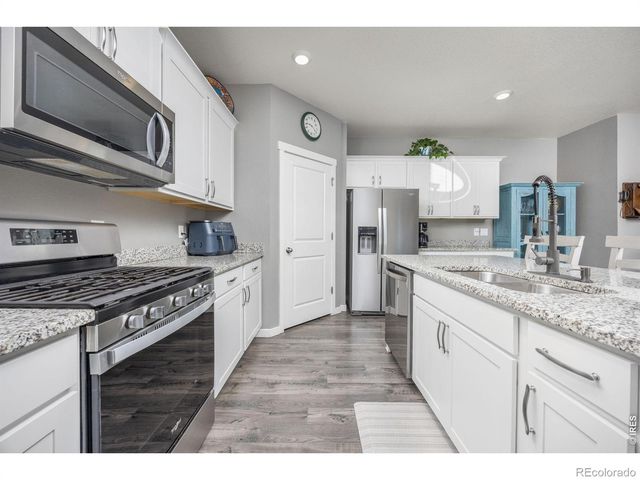 3725 Catmint Street, Wellington, CO 80549